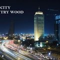 Dmitry Wood - City