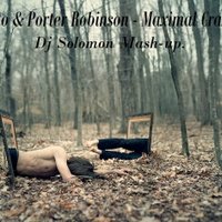 DJ SOLOMON - Tiesto & Porter Robinson - Maximal Crazy  ( Dj SOLOMON Mash-up ).