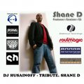 DJ HUSAINOFF/ DJ VALERA KhUSAINOV - DJ HUSAINOFF – TRIBUTE. SHANE D Vol.2