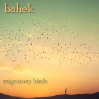 Bahek - Bahek - Migratory birds (Original mix)