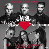 DJ Alexey Voronkov - Yellow Claw, Serebro & Mike Williams - Blood Diamond (DJ Alexey Voronkov Mash-up)