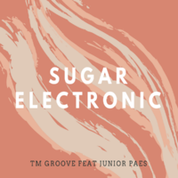 TM Groove - Sugar Electronic