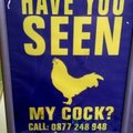 ReMOv - DMC ReMOv - Have you seen my cock
