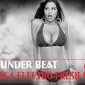 DJ Under Beat - MEGA ELECTRO FRESH 8