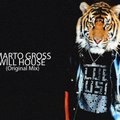 Marto Gross - Will House (Original Mix)