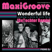 DeTechtor - MaxiGroove - Wonderful Life (DeTechtor Remix)