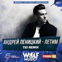 WOLF MUSIC [PROMO MUSIC LABEL] - Андрей Леницкий - Летим (Tei Radio Mix).