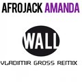 Vladimir Gross - Afrojack - Amanda (Vladimir Gross remix)
