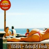 DJ Fresh Bit(Resident Sunlife-fm) - TISHA – Лето(DJ Fresh Bit Remix)