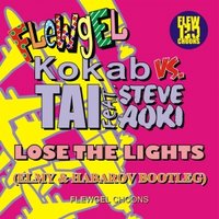 DJ Elmy - Kokab vs. Tai & Steve Aoki - Lose the Lights (Elmy & Habarov Bootleg 2012)