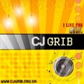 CJ GRIB - CJ GRIB - Весенние зарисовки (instrumental)