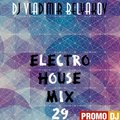 Vladimir Belyakov - Electro House Mix 29