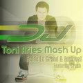 DJ Toni Aries - Fedde Le Grand & Funkwel - Featuring Crash (DJ Toni Aries Mash Up)