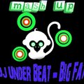 DJ Under Beat - Tonic feat Tarantula Man - Big Fat (Mashup)