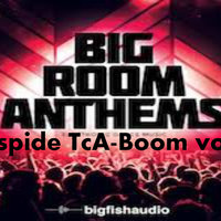 Aspide Dj - Aspide TcA-Boom vol 1(Best Bigroom & Electro House in June 2K18)