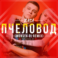 Monsta Di - RASA - Пчеловод (Monsta Di Remix)