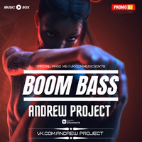 ANDREW PROJECT - ANDREW PROJECT - BOOM BASS (2019)