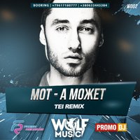 WOLF MUSIC [PROMO MUSIC LABEL] - Мот - А может (TEI Radio Remix)