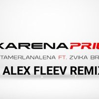 Alex Fleev - TamerlanAlena ft Zvika Brand - Karena Prius ( Alex Fleev Remix )