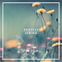 SHAFEEV - SHAFEEV - Spring