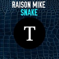 raison mike - Raison Mike Snake (Extended Mix)