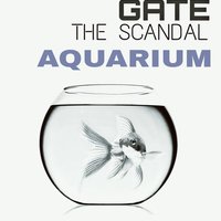 Weightless Gate (The Scandal) - WEIGHTLESS GATE /The Scandal - Aqarium (Preview)