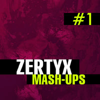 Zertyx - Brian NRG vs Laleh - Here I Go Again (Zertyx Mash-up)