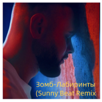 Sunny_Beat - Зомб-Лабиринты (Sunny Beat Remix)