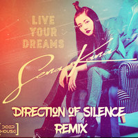direction of silence - SenaKana - Live your dreams (Direction of Silence Remix)