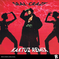 DJ KaktuZ - Seal - Crazy (KaktuZ RemiX)
