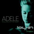 LOSKIN - Adele - Rolling in the Deep (Loskin club mix)