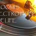 Dj LOOMIS - Dj LOOMIS-ELECTRO HOUSE OF LIFE vol.8