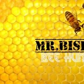 DONUT SOUND - Bee Hunting (zZzZz Mix)