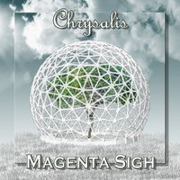 Magenta Sigh - Chrysalis