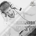 Alejandro - Tony Ray vs. Anton Liss - Chica Loca (Dj Alejandro Mash Up)
