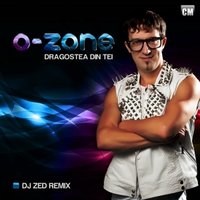 DJ ZeD - O-Zone - Dragostea Din Tei (DJ Zed Extended Remix)