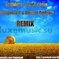 Dj Eugenio B - Dj Viduta - Sand of Love (Eugenio B & Dmitriy Gudkow Remix)