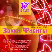 DiSiber aka Serg24 - LIZ project & DiSiber- Звуки флейты (NEW VERS 2017.)