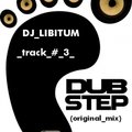 Dj Libitum - dj libitum - track # 3 (dub step original mix)