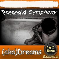 (aka)Dreams - (aka)Dreams-Paranoid symphony(radio mix)