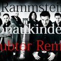Dubtor - Rammstein - Donaukinder(Dubtor Remix)