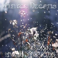 S3RIUS - Winter Dreams