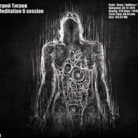 Дмитрий Тигров - sound meditation 6 session (Om Cafe)