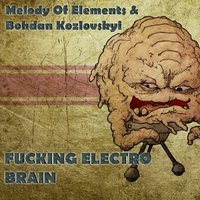 Melody of Elements - & Bohdan Kozlovskyi - Fucking Electro Brain (Original Mix)