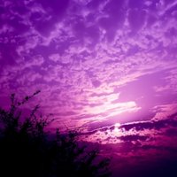 Andy Wide - Andy Wide feat. Kate Walsh – Some violet expression moods on the sky