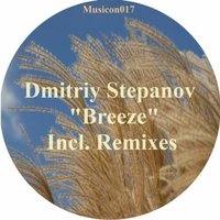 Dmitriy Stepanov - Dmitriy Stepanov-Breeze(Nistirenko Remix)