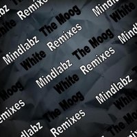 Spectral Atoms - Mindlabz - The Moog (Spectral Atoms remix) (PREVIEW)
