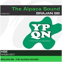 ypqnrecords - YPQN007 Brajan BB - The Alpaca Sound