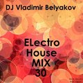 Vladimir Belyakov - Electro House Mix 30