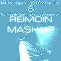 Reimon - Milk And Sugar & Vaya Con Dios & MC Flipside & Carl Tricks – Scenester Hey Girl (Reimon Mash Up)